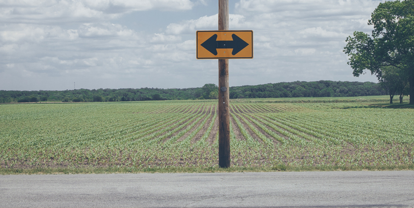 My-Way or the High-Way: Is There Such a Thing as the Perfect Process?