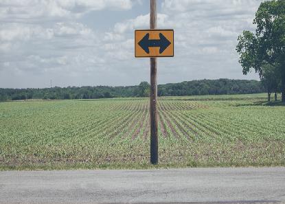 My-Way or the High-Way: Is There Such a Thing as the Perfect Process?